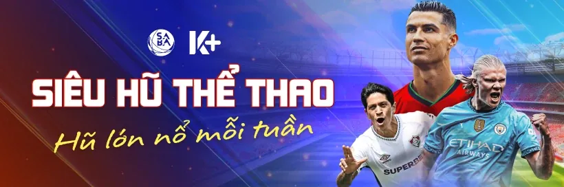 Chương trình Đại lý Wipwin